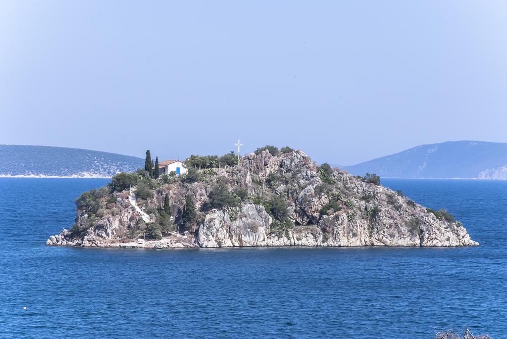 Apollon Tolón